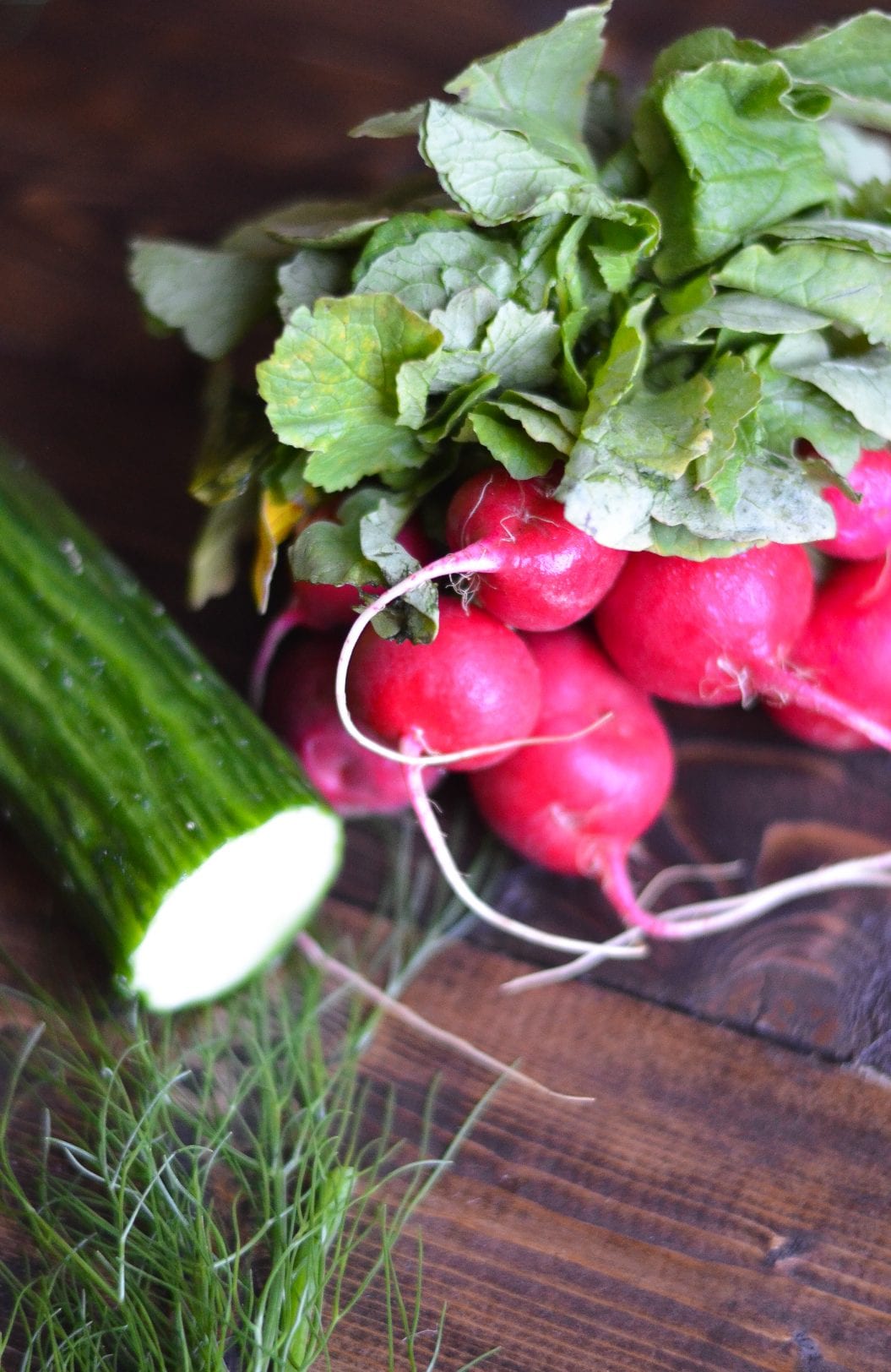 Cucumber, Radish and Fennel Salad with Mandarin Vinaigrette My Modern Cookery