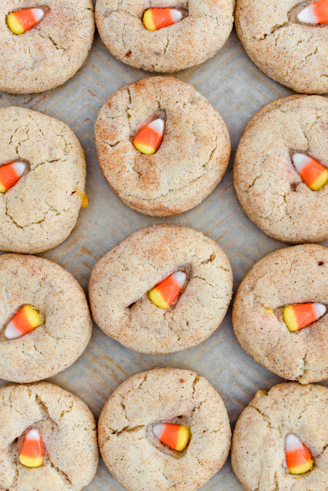 Candy Corn Snickerdoodles
